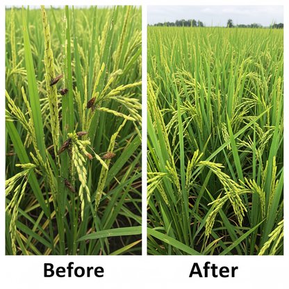 Rapid Bio-Saviour – (Nature’s Protection, Farmer’s Power)