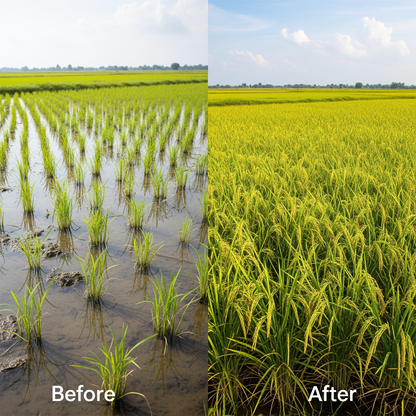 Biowell Rapid Blossom