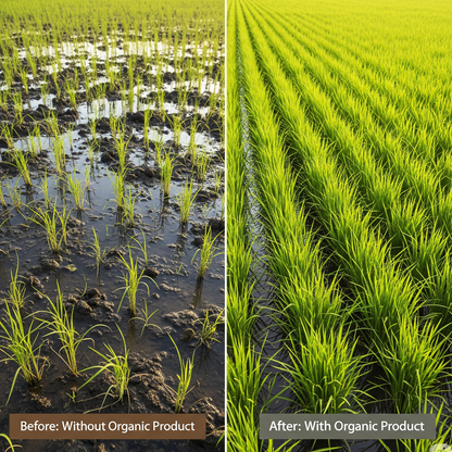 Rapid Soil Power Gold